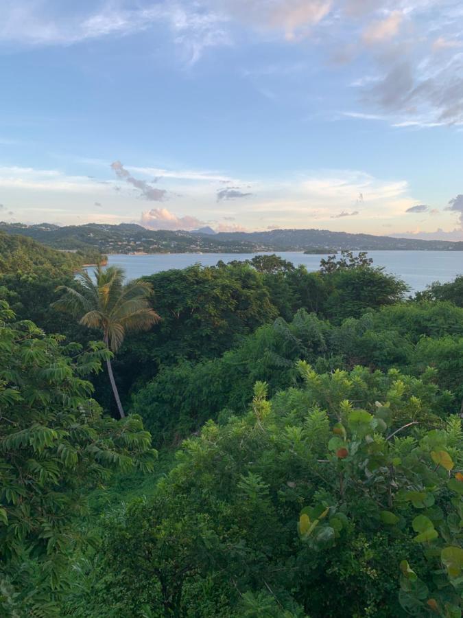 Kay Nou Apartments Gros Islet Exterior photo
